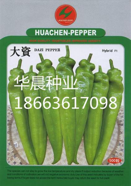 大资(日本)