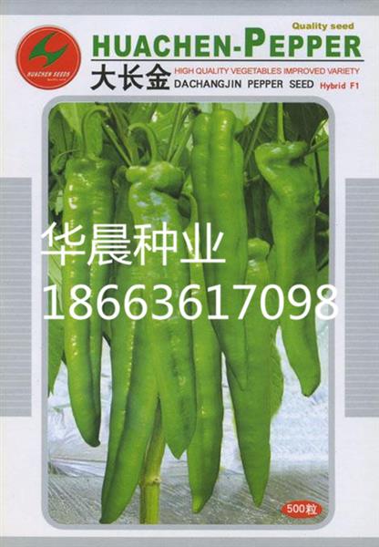 大长金(日本)