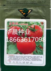 金辉煌（高抗TY病毒）