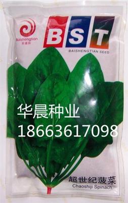 超世纪菠菜（荷兰）
