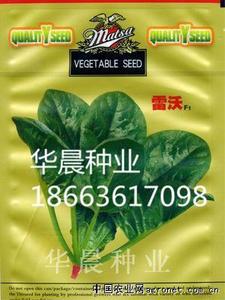 雷沃F1（荷兰）