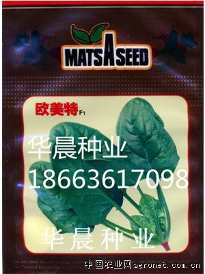 欧美特F1（荷兰）