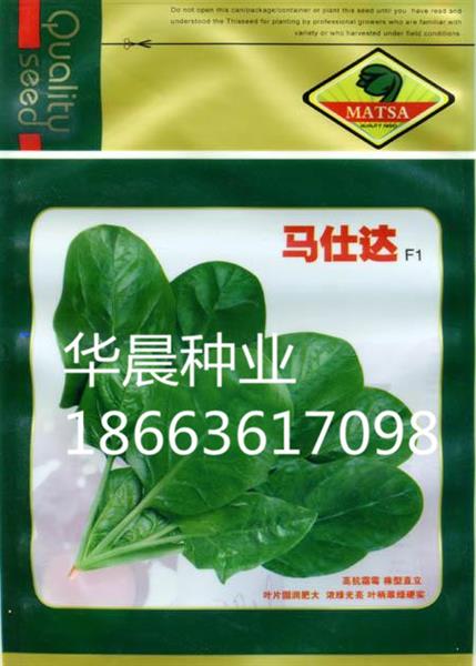 马士达F1