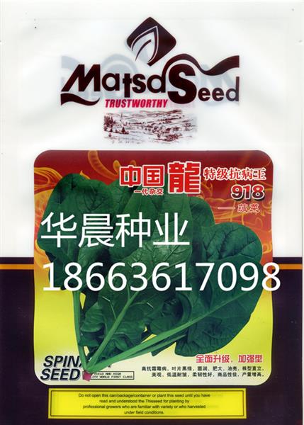 中国龙特技抗病王918