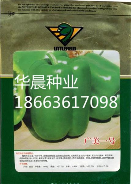 广美一号